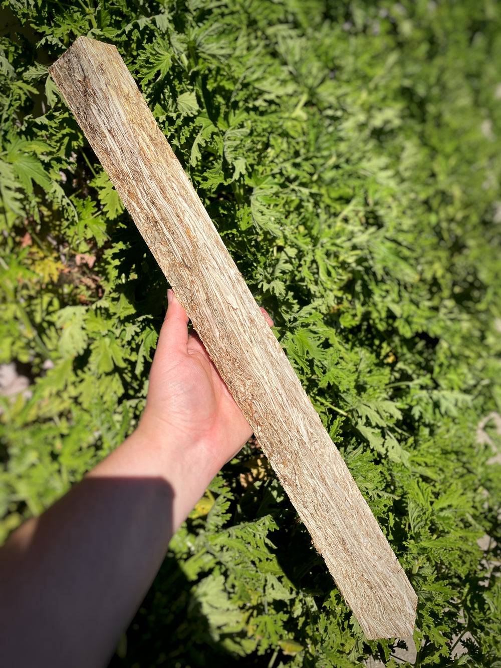 HempWood | Stabilized Cue Blanks | 1.5" x 1.5" x 18"