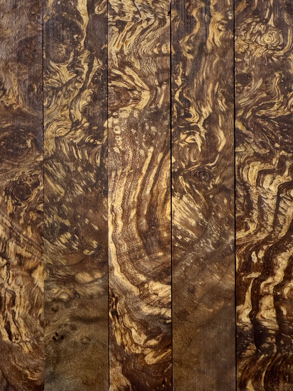 Maple Burl | Stabilized