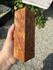 Aspen Burl | Stabilized Call Blanks