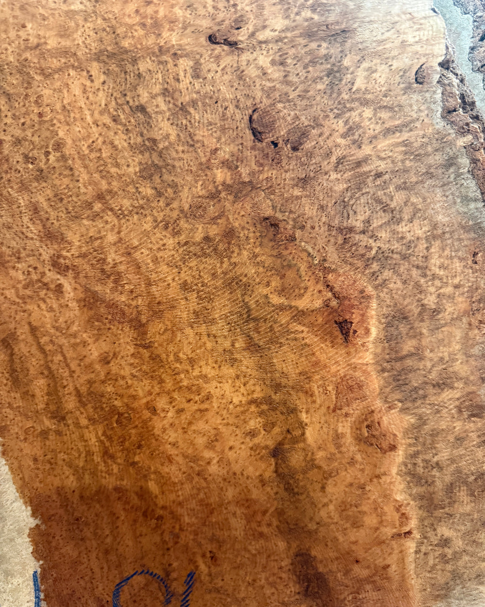 Brown Mallee Burl | Guitar Billet