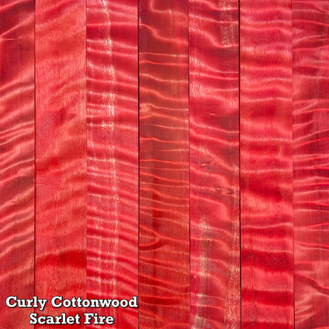 Curly Cottonwood | Stabilized