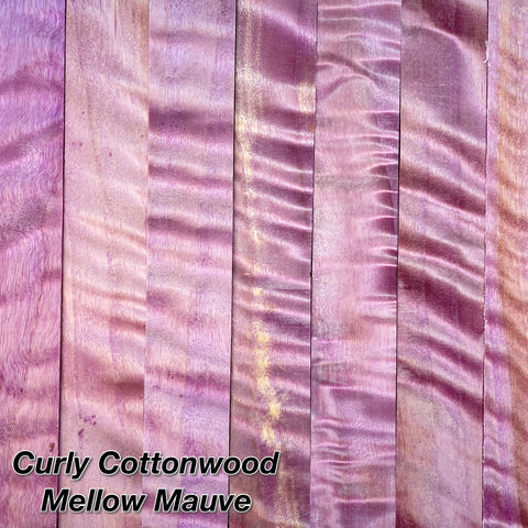 Curly Cottonwood | Stabilized