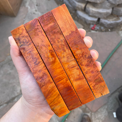 Maple Burl | Stabilized